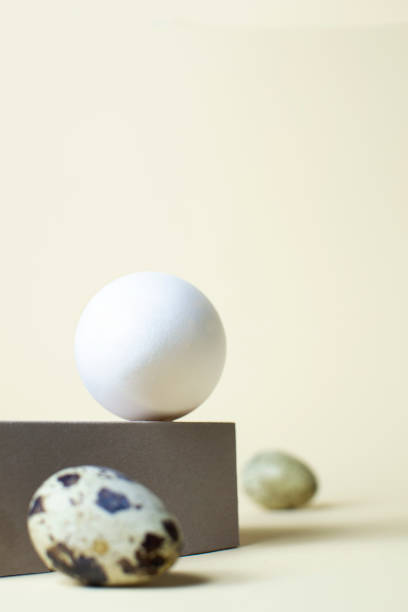 istock A hen's egg lies on a dark cube around the peepelin's eggs. Balancing food. 1305572129