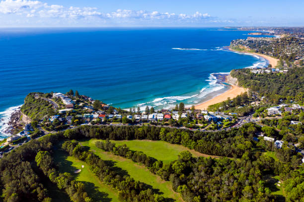 istock Bilgola and Newport Beach, sydney 1305572894