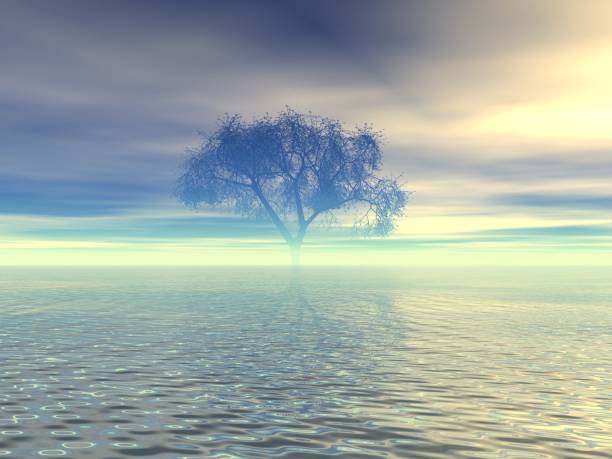 istock Fantastic landscape of Lake and Tree 1305577479