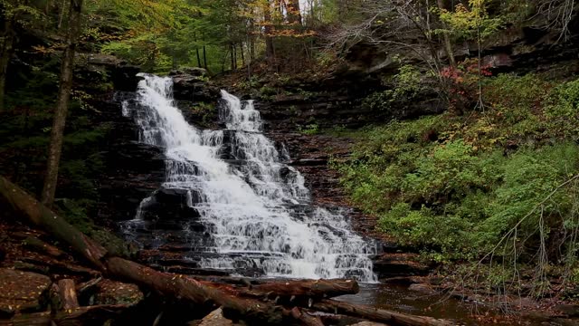 FL Ricketts Falls in Pennsylvania Loop