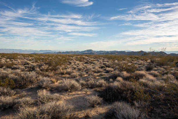 Free Stock Photo of Desert Landscape With Sparse Vegetation | Download ...