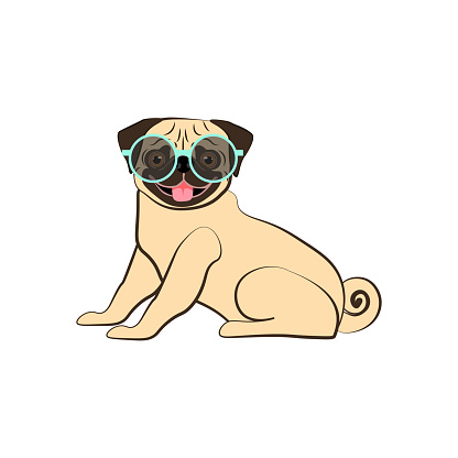 Pug in sunglasses vector illustration on the white background. Vector illustration