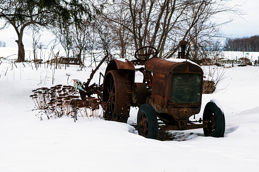 A beautiful winter in Dambovicioara village (Ciocanu village subdivision), Arges county. Traditions in black and white.