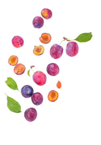 istock Ripe plums with leaves close up on white background 1305588484