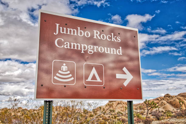 istock Jumbo Rock Campground at Joshua Tree National Park 1305591703