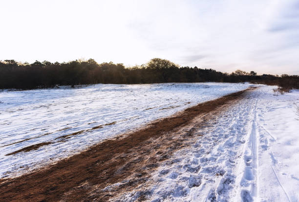 Winter at the Dutch Nature Dune Reserve, North Holland, Netherlands