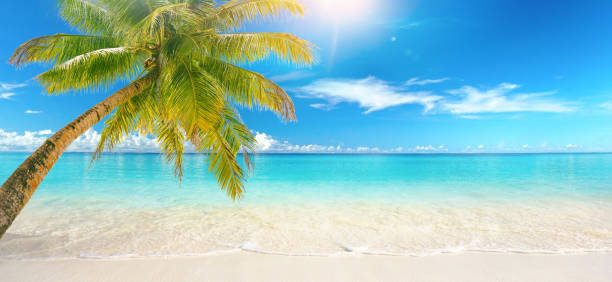 istock Turquoise ocean on background blue sky with clouds on sunny summer day. 1305598836