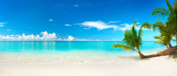 istock Beautiful beach with white sand, turquoise ocean, blue sky with clouds and palm tree over the water on a sunny day. 1305598879