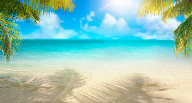 istock Summer landscape of tropical island. 1305598907