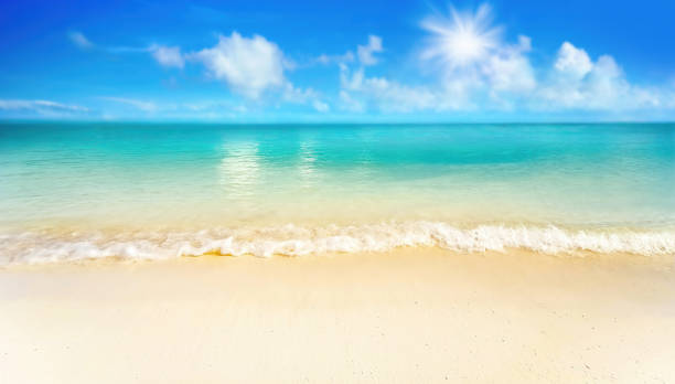 istock Beautiful background image of tropical beach. 1305598909