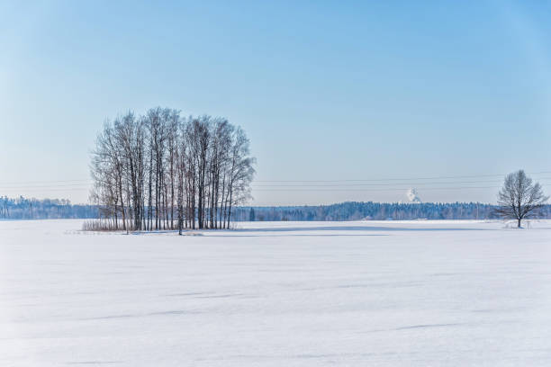istock Snow Covered Field in Winter in Latvia 1305599695