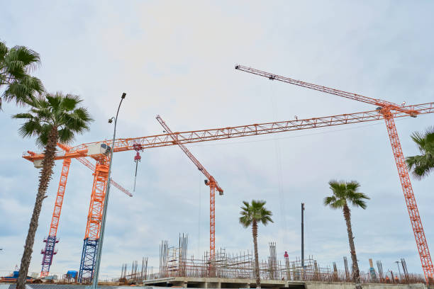 istock large construction cranes on the background of palm trees 1305601750