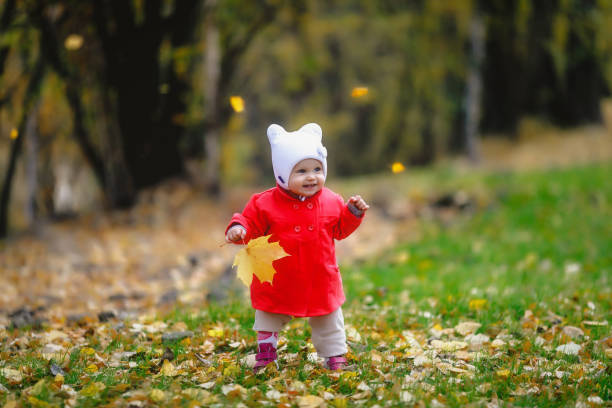 l’enfant dans le feuillage d’automne fait ses premiers pas - baby first steps autumn child photos et images de collection