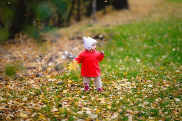 l’enfant dans le feuillage d’automne fait ses premiers pas - baby first steps autumn child photos et images de collection