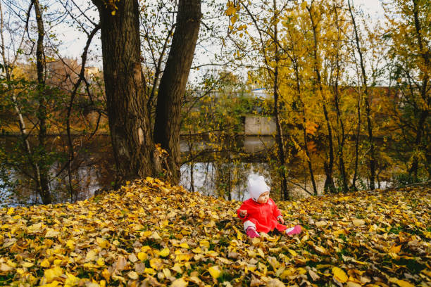 l’enfant dans le feuillage d’automne fait ses premiers pas - baby first steps autumn child photos et images de collection