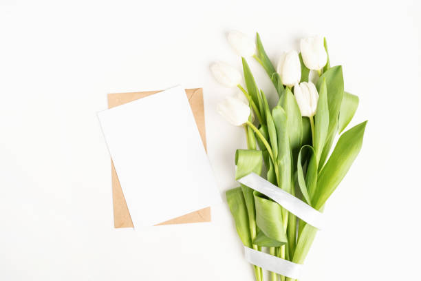 istock Fresh cut white tulip flowers and blank card with envelope top view on white background with copy space 1305611076