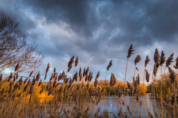 Park England,Branston Water Park 2021