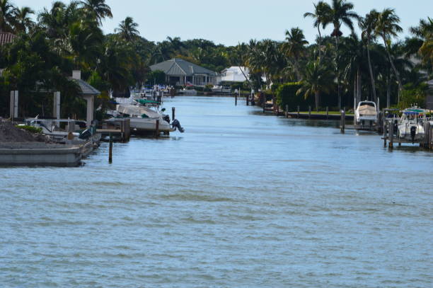 istock View to Bay of Naples Florida 1305622247