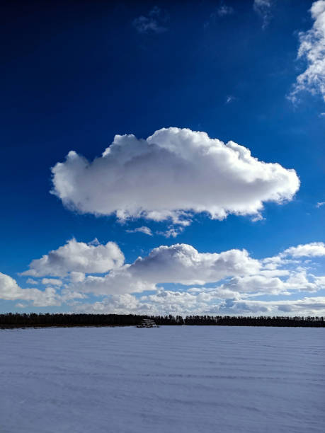 istock Snow on the white winter field under clouds in bluevsky 1305631110