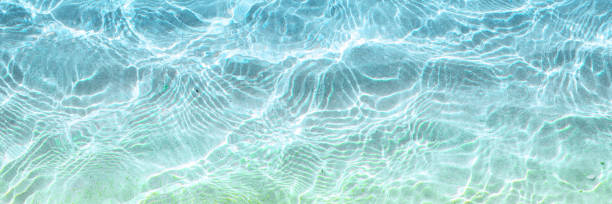 istock blue sea surface on a sunny day. Background. Top view. Banner. 1305631143