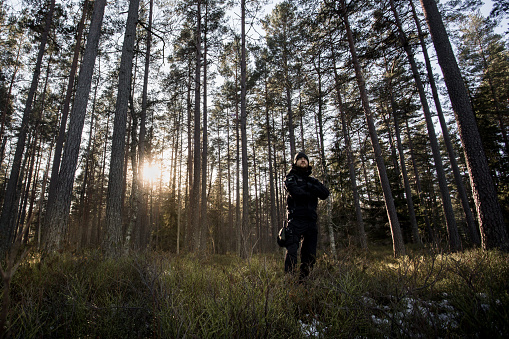 Man in outdoor winter clothing with survival equipment in middle of coniferous forest. Morning sun shines through trees in background. Forest is full of greenery with few traces of snow on ground.