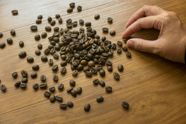istock Selective focus of hand picking coffee beans on wooden background. 1305632905