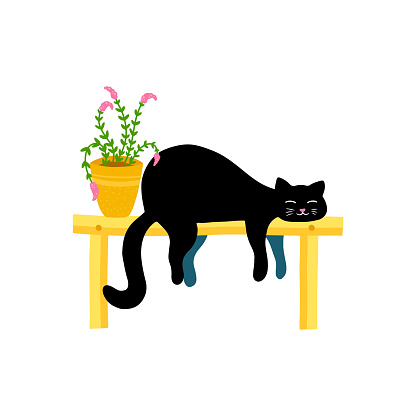 Funny black cat sleep on a bench with a flower pot. Spring summer concept. Vector illustration in simple hand drawn childish cartoon style. Isolate on a white background