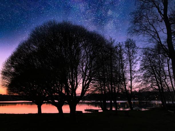 istock Stars and Silhouettes 1305638568