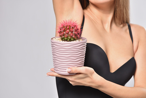 Woman holding prickly cactus under armpit, intimate depilation and hygiene concept.