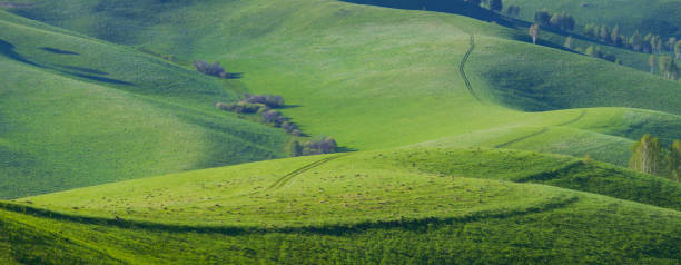istock Green meadows and mountain slopes, summer, panorama nature, Altai 1305644218