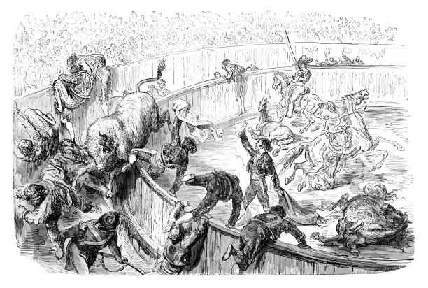 ilustrações de stock, clip art, desenhos animados e ícones de bullfighter en bullring spain 1862 - 1862