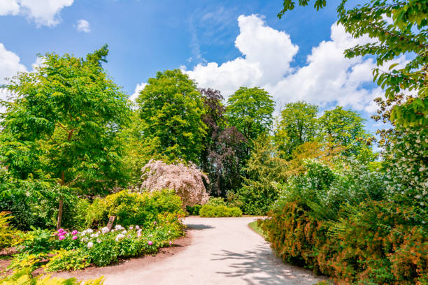 Fontainebleau park (Chateau de Fontainebleau garden) near Paris, France Fontainebleau park (Chateau de Fontainebleau garden) near Paris, France chateau de fontainbleau stock pictures, royalty-free photos & images