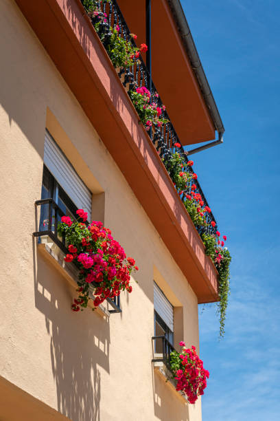 istock Pretty Flowers on Balconies 1305649619
