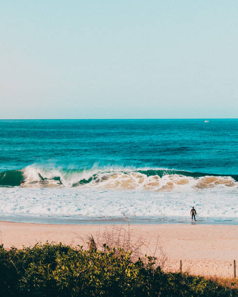 istock Beautiful blue sky landscape shot 1305654184