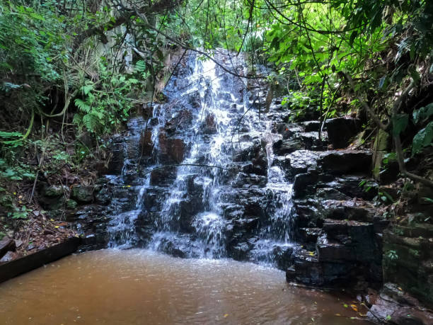 Beautiful waterfall in Brotas. "Nascente" Waterfall Beautiful waterfall in Brotas in the interior of the state of São Paulo, Brazil. Place for eco tourism, adventure and hiking in the forests. wet wood texture stock pictures, royalty-free photos & images