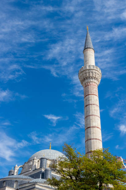 istock Bayezid II Mosque, Istanbul 1305660091