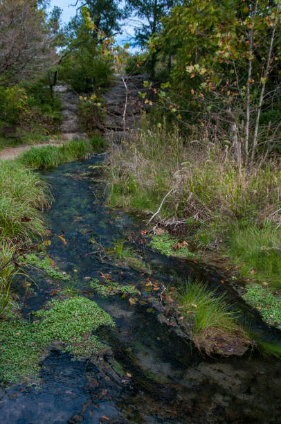 istock Chickasaw National Recreation Area - Clear Water Antelope Springs Vertical 1305661462