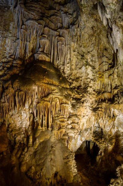 istock Carlsbad Caverns National Park - Ghoulish Formations 1305661517