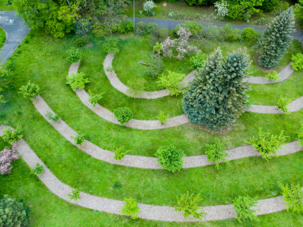 istock Aerial top down view to small green square with young cherry trees 1305662502