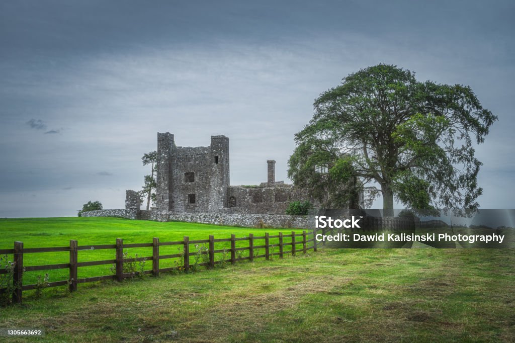 Old ruined Bective Abbey from 12th century with large green tree and field Pasture fence leading to old ruined Bective Abbey from 12th century with large green tree and field, dark sky in the background, County Meath, Ireland Abandoned Stock Photo