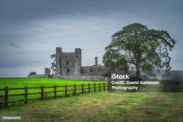 Old Ruined Bective Abbey From 12th Century With Large Green Tree And Field Stock Photo - Download Image Now