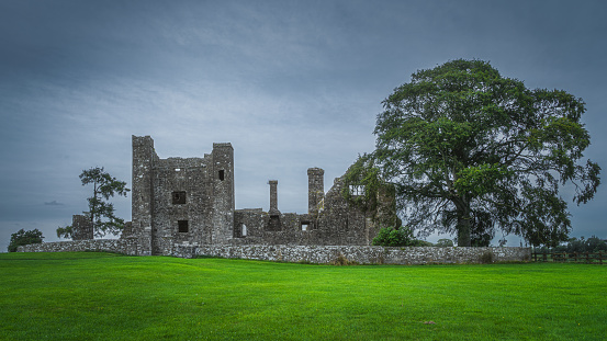 Old ruins of Christian Bective Abbey from 12th century with large green tree and field, moody dark sky in the background, County Meath, Ireland