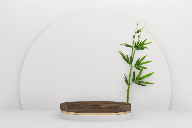 istock Tropical granite podium on background minimal design. 3D rendering 1305663861