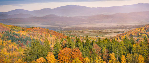 istock Colorful and bright autumn forest, mountains panorama. 1305664797