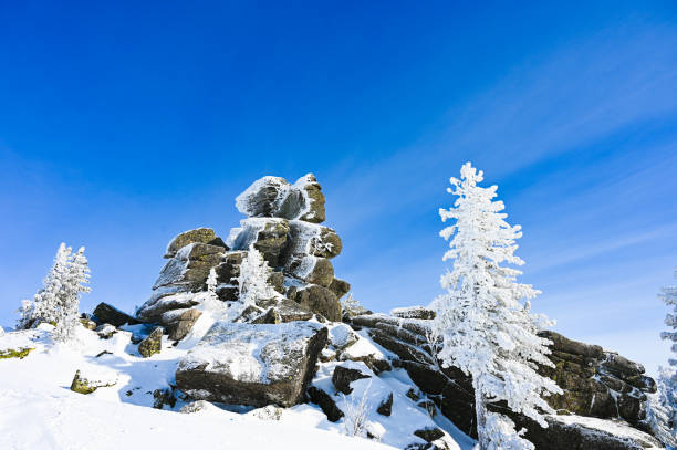 istock rocky background trees in the snow 1305667218