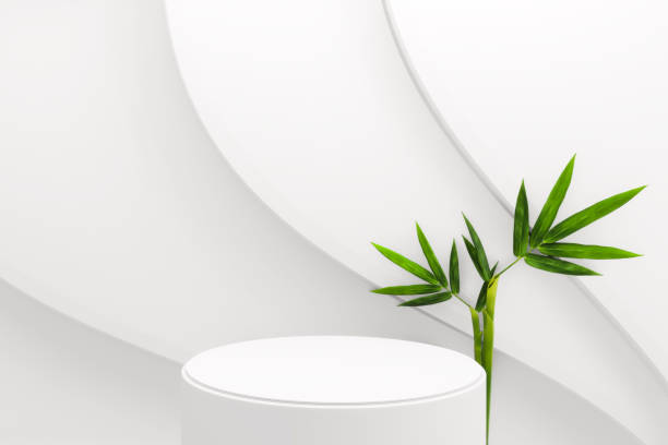 istock Tropical  Podium minimal geometric and bamboo japanese decoration .3D rendering 1305667225