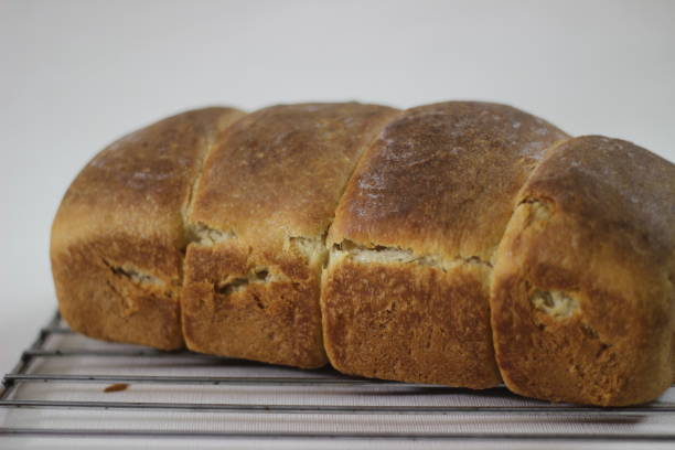 istock Home baked mini roll loaf bread with visible bands of rolls 1305669635