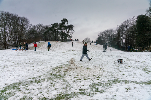 People sledging in the snow on Castle Hill, Huntingdon, UK. There are several families on the hill during lock down.