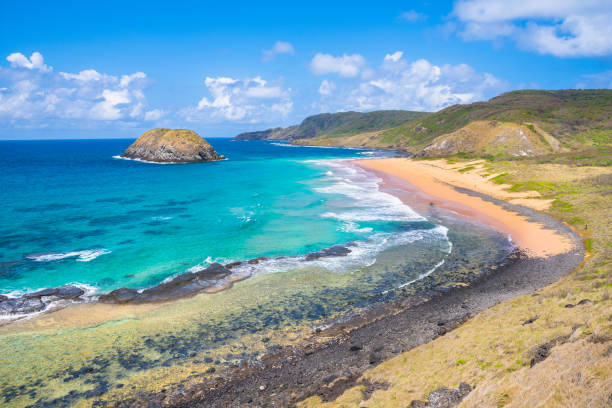 belle vue sur lion beach (praia do leao) dans l’île fernando de noronha au brésil, célèbre pour frayer et préserver les tortues de mer. - lion sands photos et images de collection