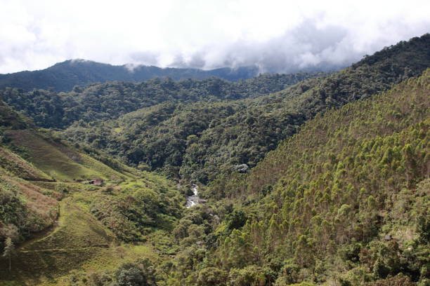 istock landscape whit clouds, mountains and plantains 1305672362